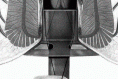 pv_longo_kep_6_